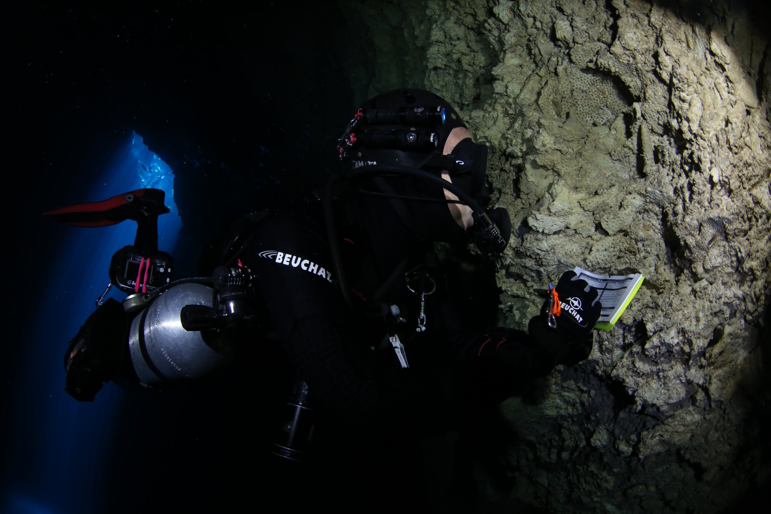 Cave Corals Project