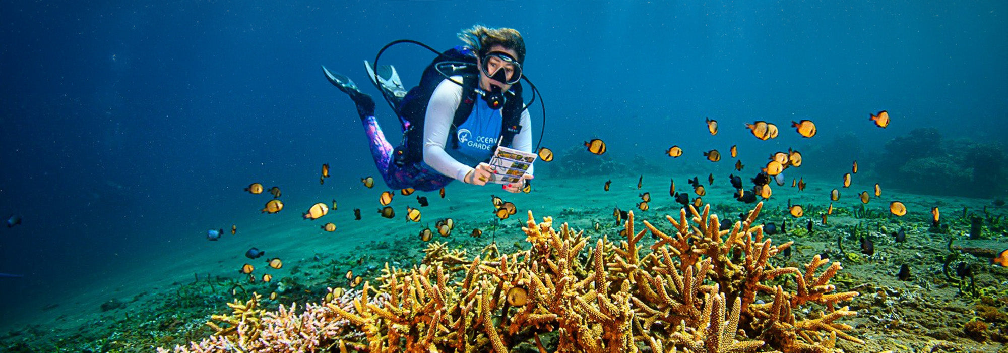From Rubble to Reef: A Story of Restoration and Hope