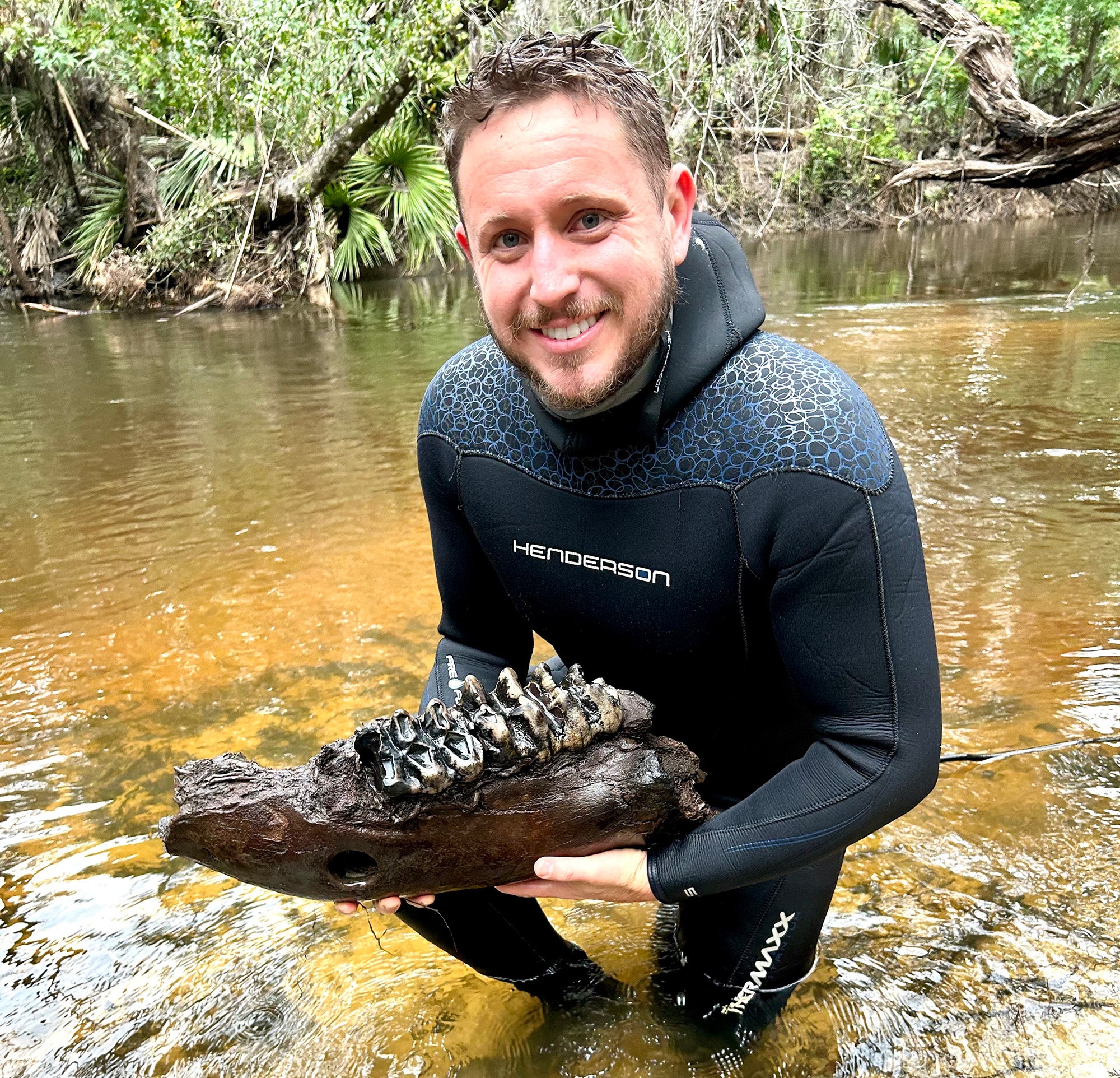 fossil diving