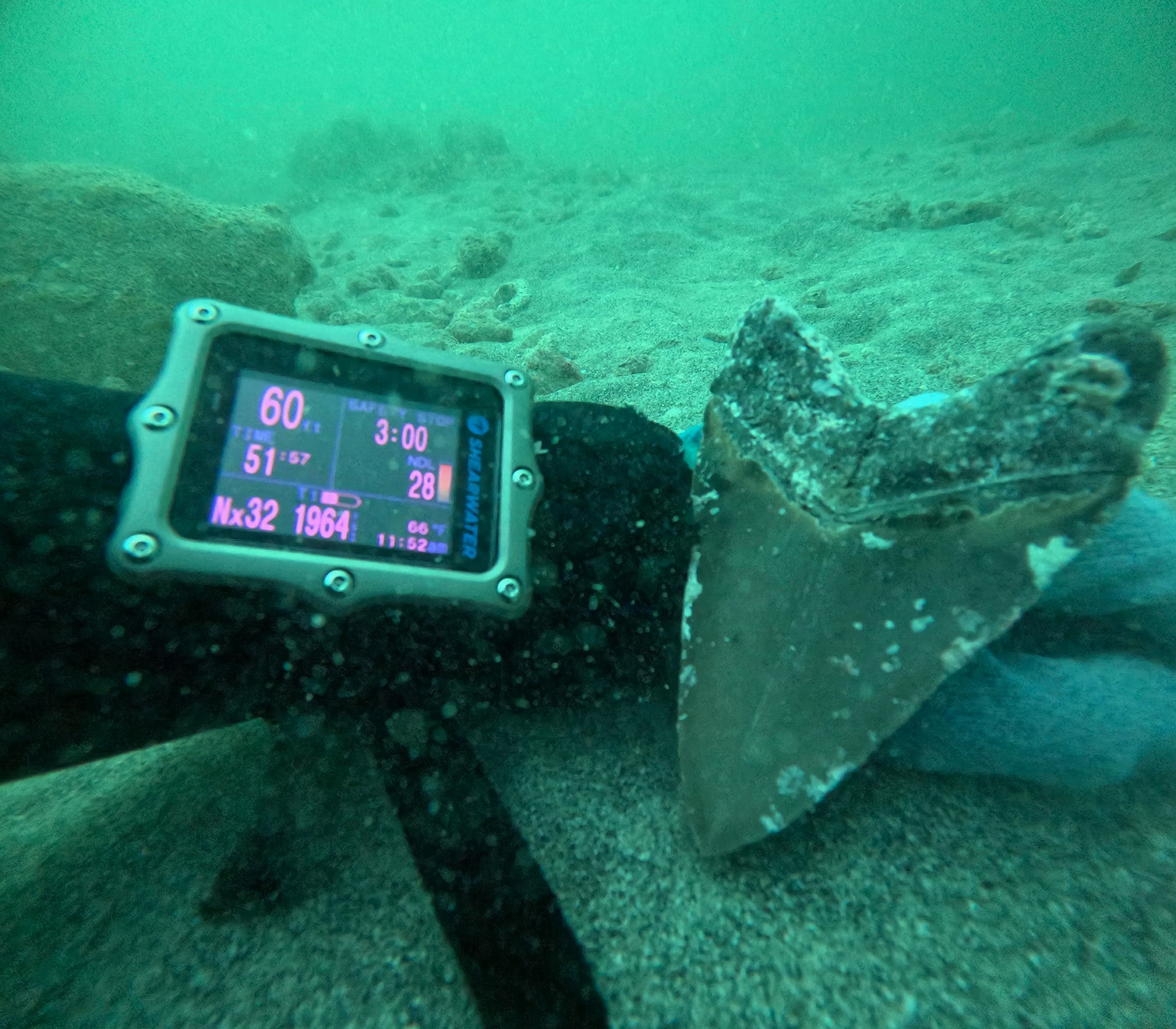 perdix 2 with megalodon tooth