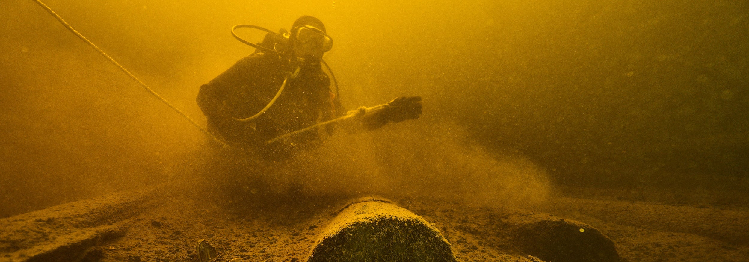 The Submerged Timber Diver