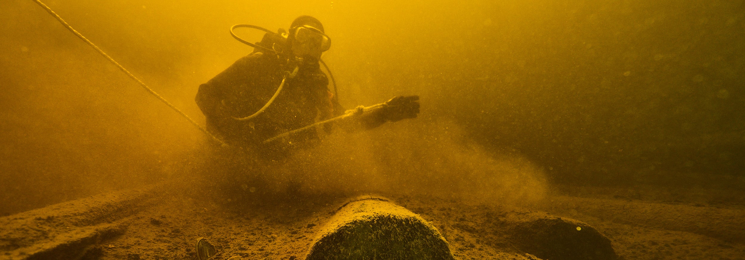 Le Plongeur en Bois Immergé