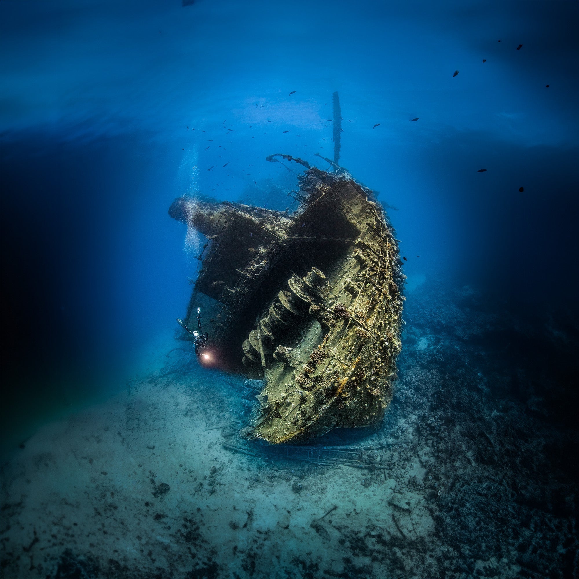 Advance Your Tech Diving Journey in 5 Legendary Destinations