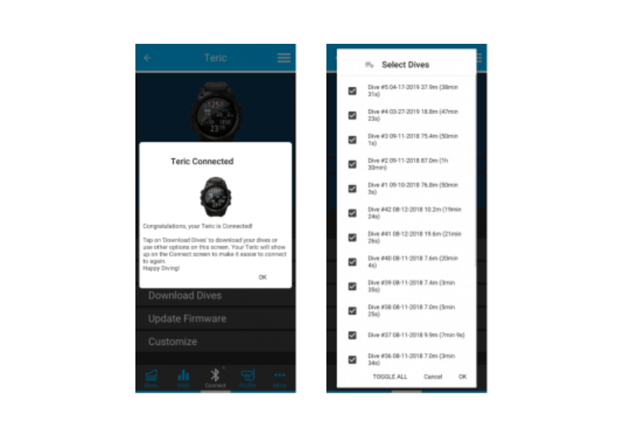 When connection is successful, you can now download dives and update your dive computer’s firmware.