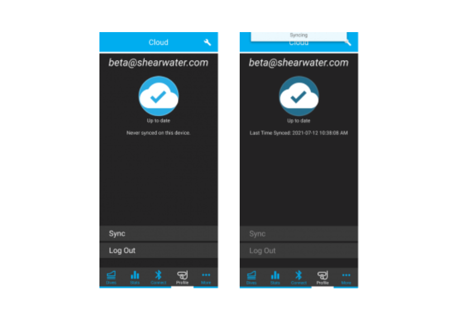 Once you have signed in, your dives will be automatically synced to and from the Cloud. You can also sync your dives manually by pressing “Sync”.